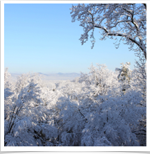 Roanoke Virginia - Snow Roanoke Virginia - Snow